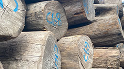 一手資源，原材料來自國(guó)外直采